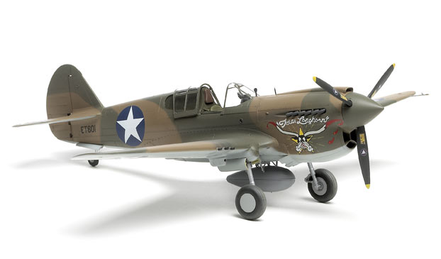 hasegawa_132_p40_ll.jpg