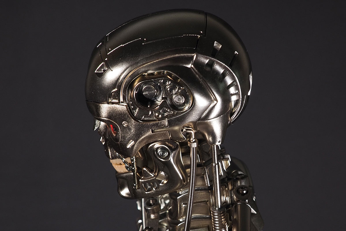 The side of the T-800's head