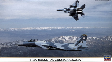 F-15C Eagle “Aggressor U.S.A.F.”