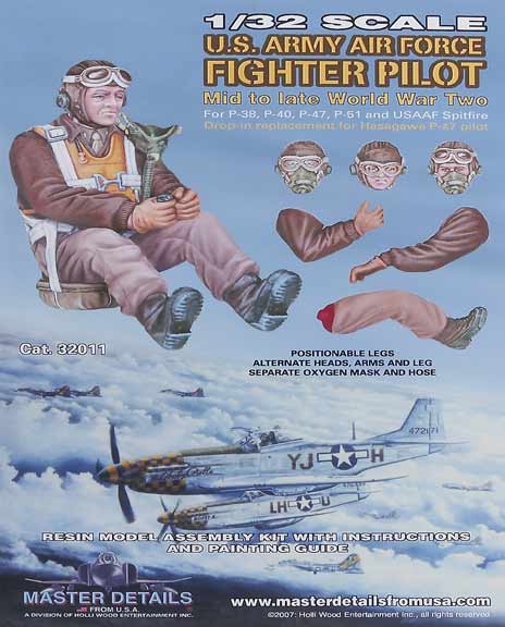 U.S. Army Air Force fighter pilot