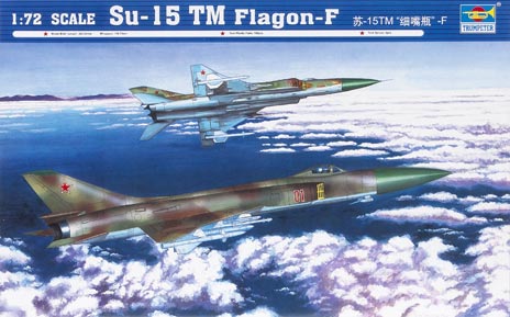 Su-15 TM Flagon-F interceptor