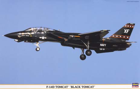 IF-14D Tomcat “Black Tomcat”