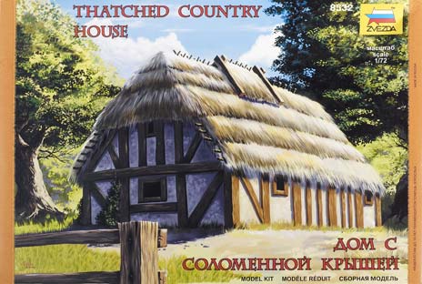 Thatched country house