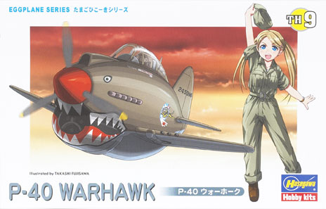 P-40 Warhawk TH9