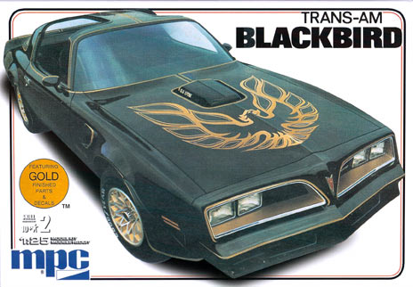 Trans-AM Blackbird