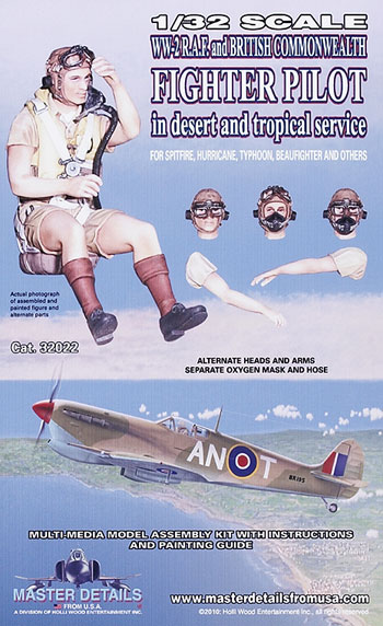 WWII R.A.F. and British Commonwealth fighter pilot