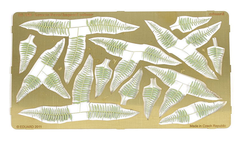 Leaves fern colour