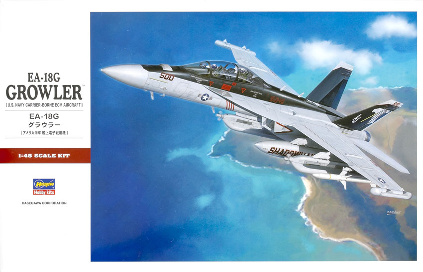 EA-18G Growler US Navy carrier borne ECM