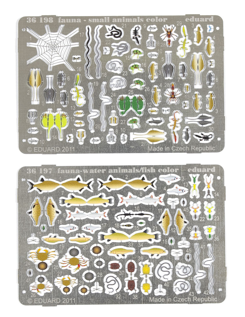 Fauna – small animals color