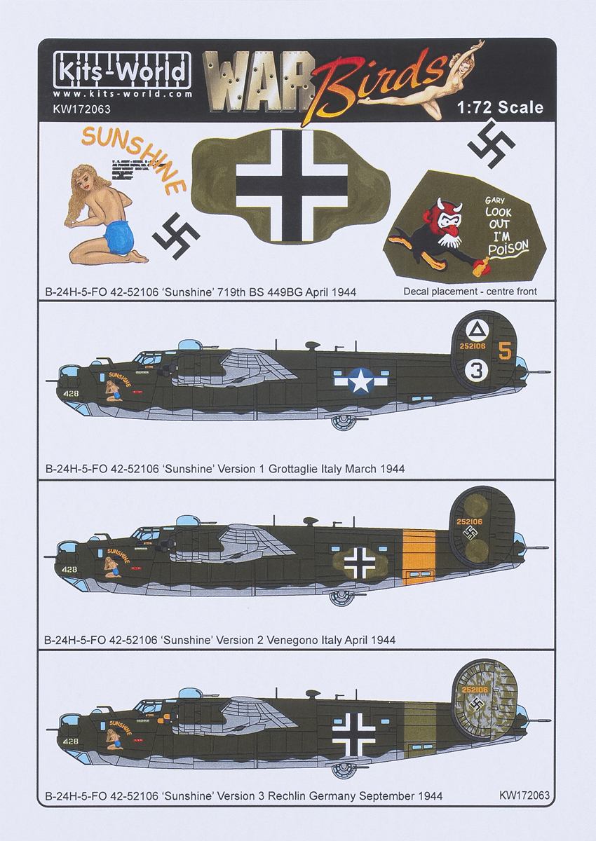 Captured aircraft B-24H-5-FO 42-52106 “Sunshine” 719th BS 449BG April 1944
