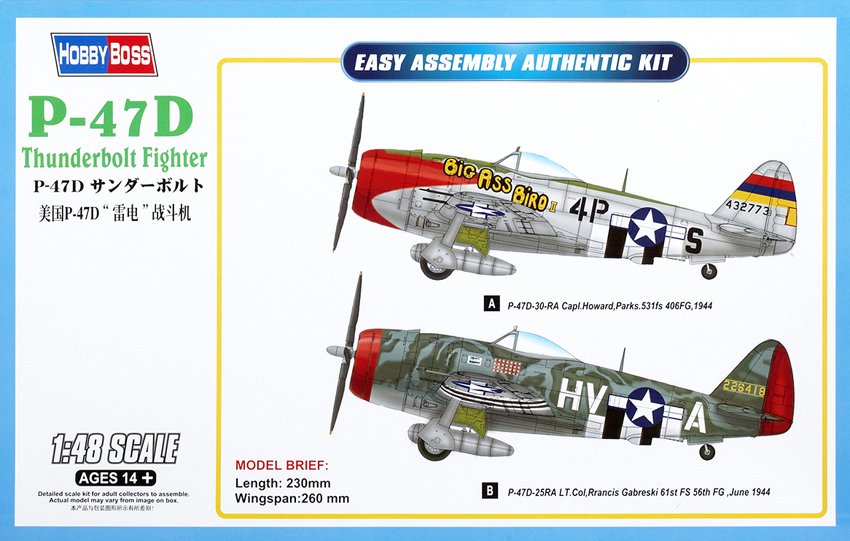 P-47D Thunderbolt Fighter
