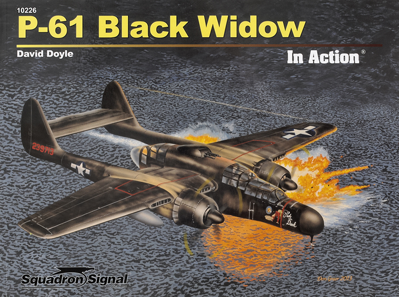 P-61 Black Widow In Action
