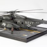 stallion