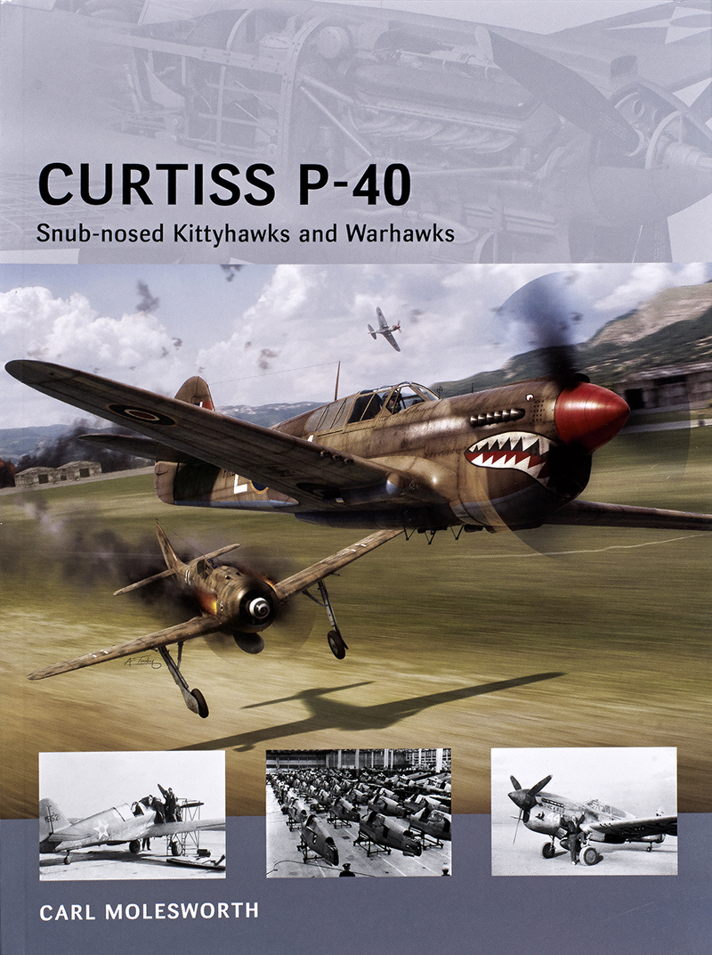 Curtiss P-40 (Snub-nosed Kittyhawks and Warhawks)