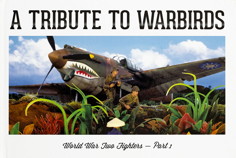 A Tribute To Warbirds – World War II Fighters Part 1