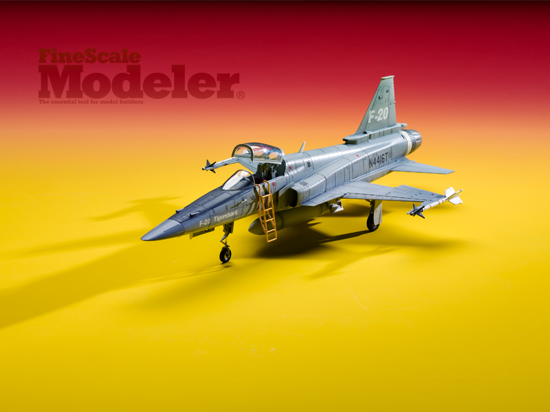 FreedomTigershark800x600