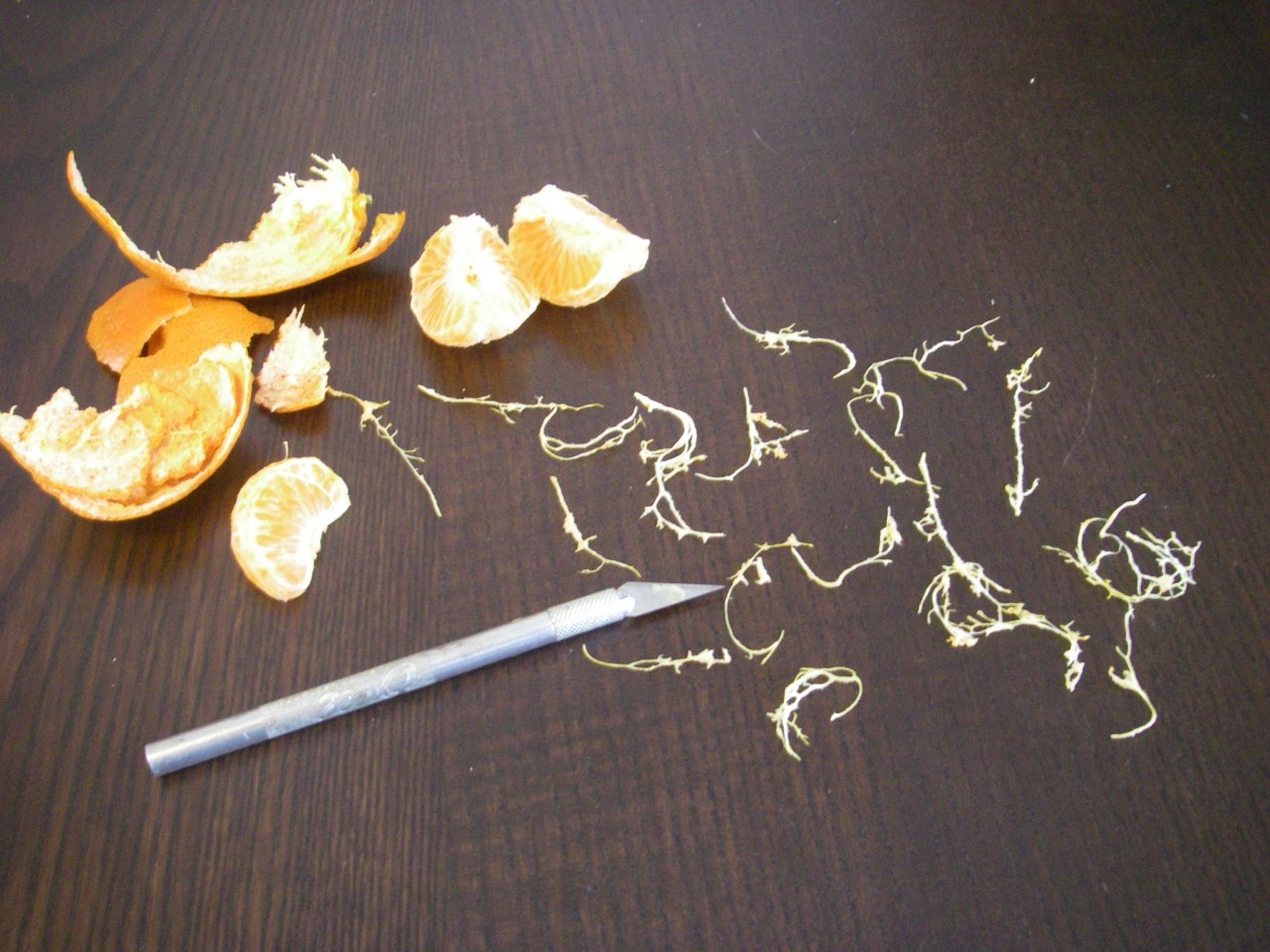 Clementines equal scale vines