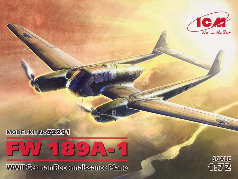 Fw 189A-1 WWII German reconnaissance