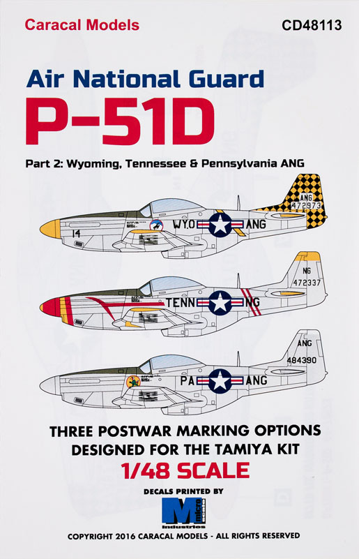 Air National Guard P-51D Part 2