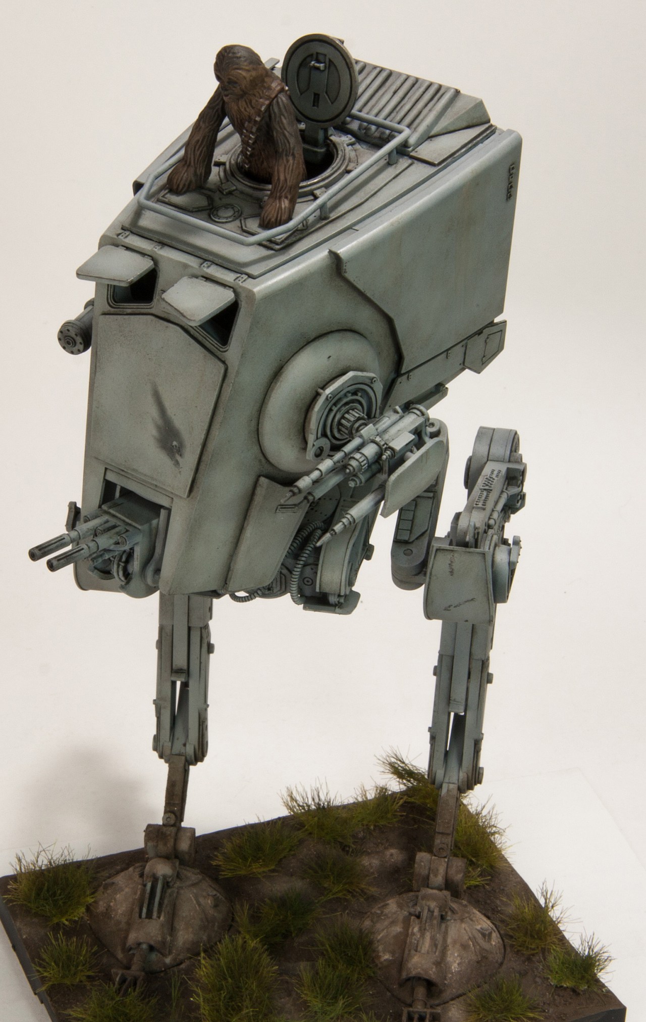 Chewie’s wild ride
