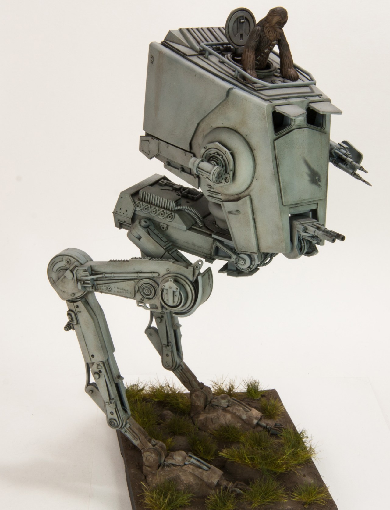 Chewie’s wild ride