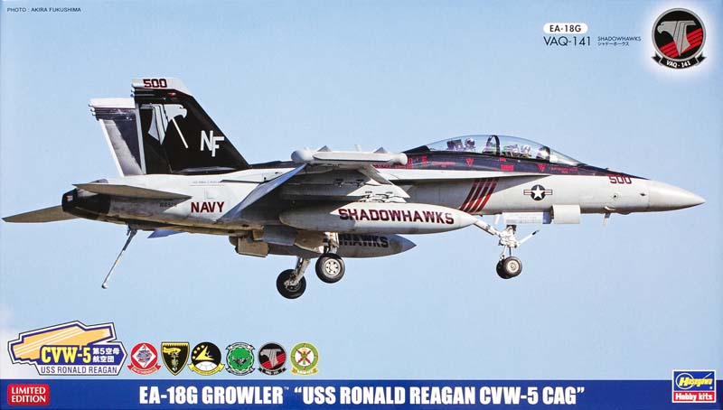 EA-18G Growler “USS Ronald Reagan CVW-5 CAG”