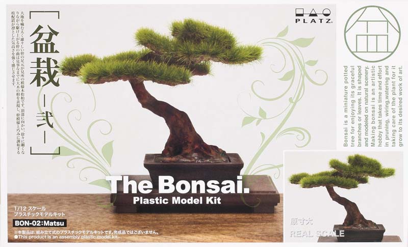 The Bonsai