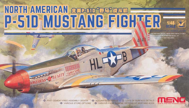 North American P-51 Mustang fighter