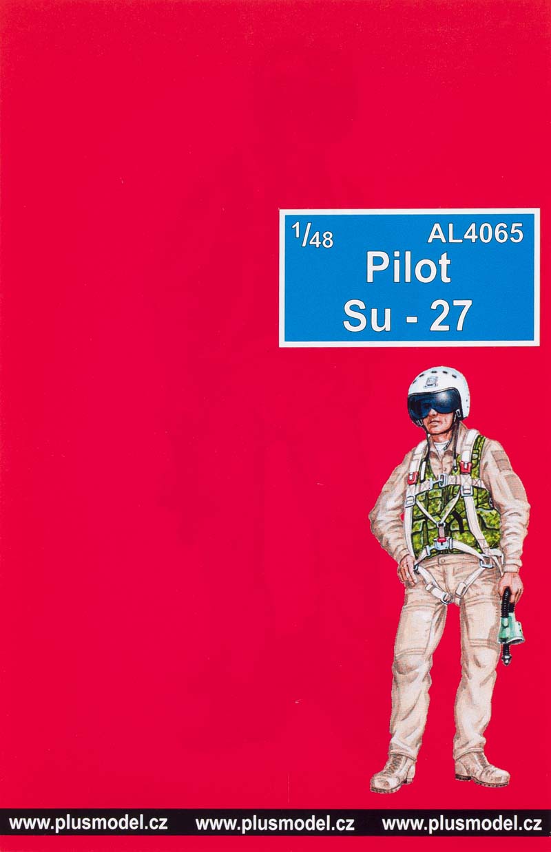 Su-27 pilot