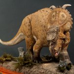 HicklPachyrhino