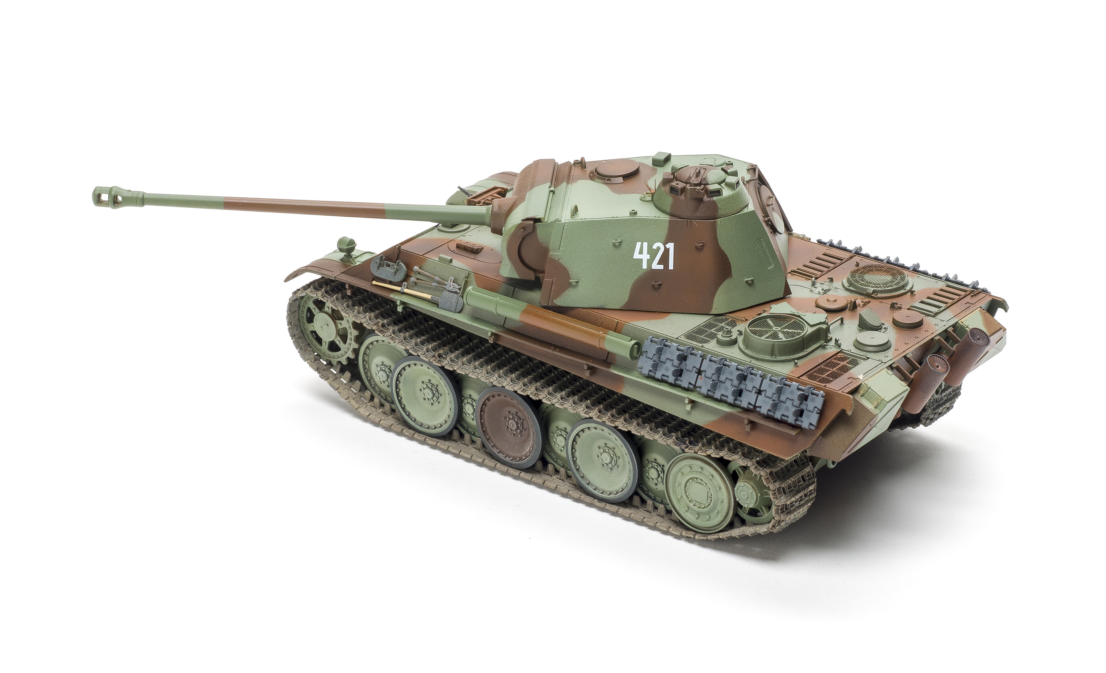FSMWB0519_Academy_Panther_04