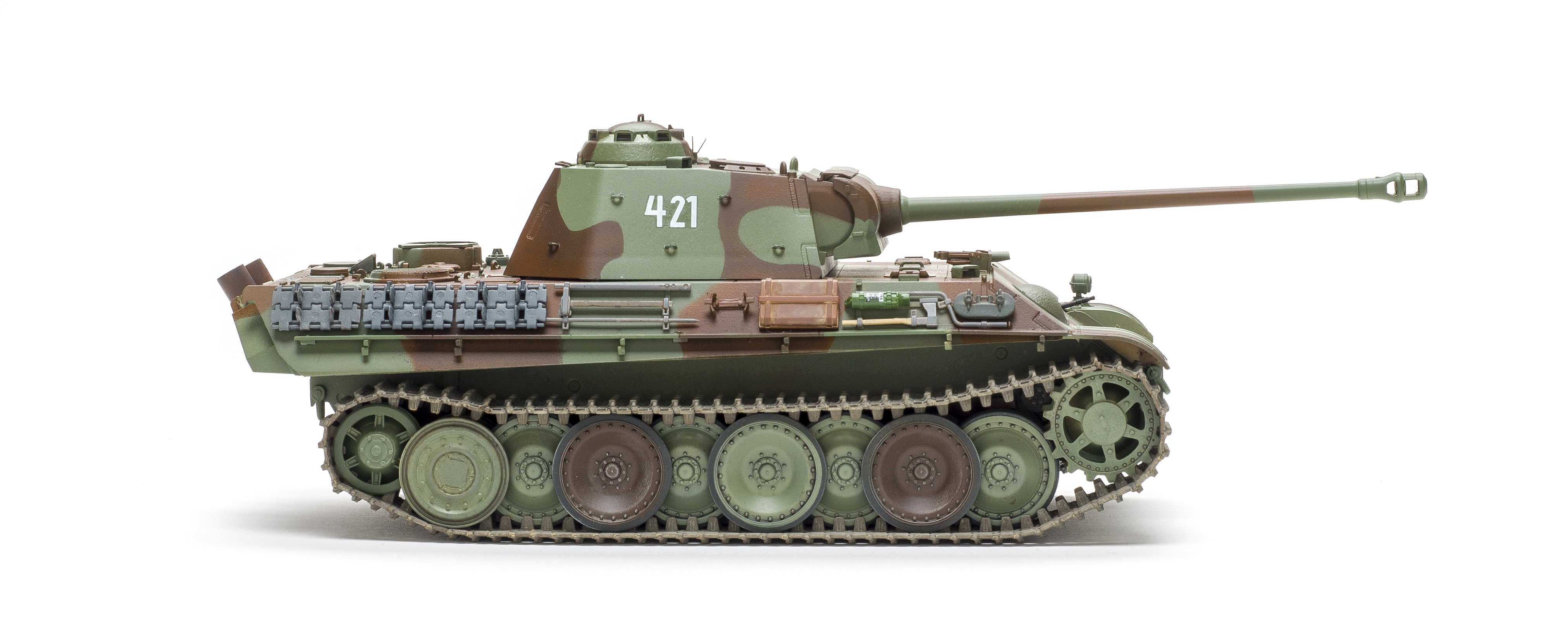FSMWB0519_Academy_Panther_06
