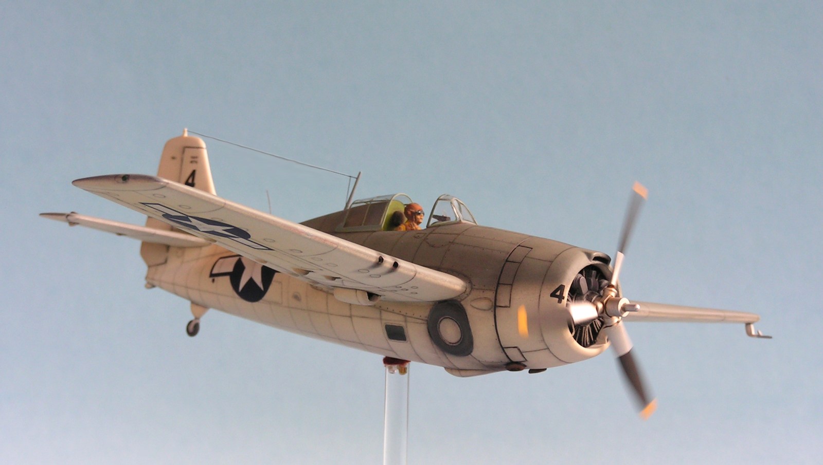 PaintingaWildcat10a