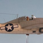 PaintingaWildcat10b