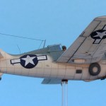PaintingaWildcat10e