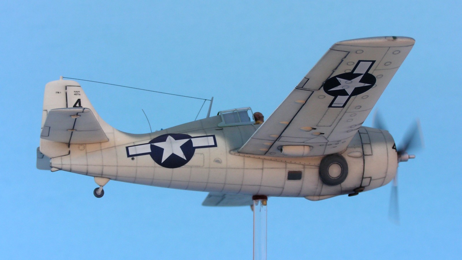 PaintingaWildcat10e
