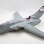 36IMG_0069