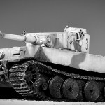 04_Tiger