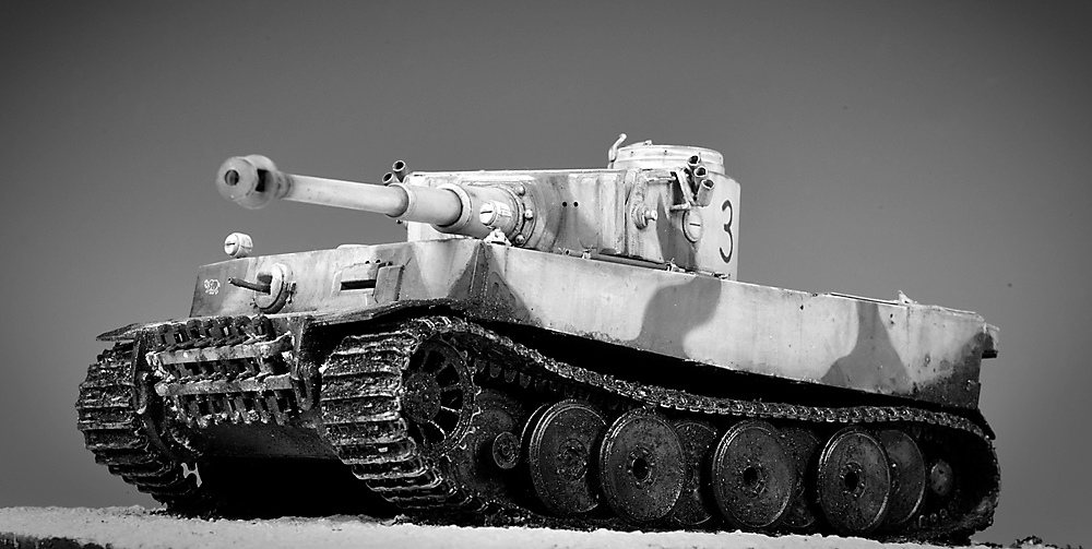 04_Tiger