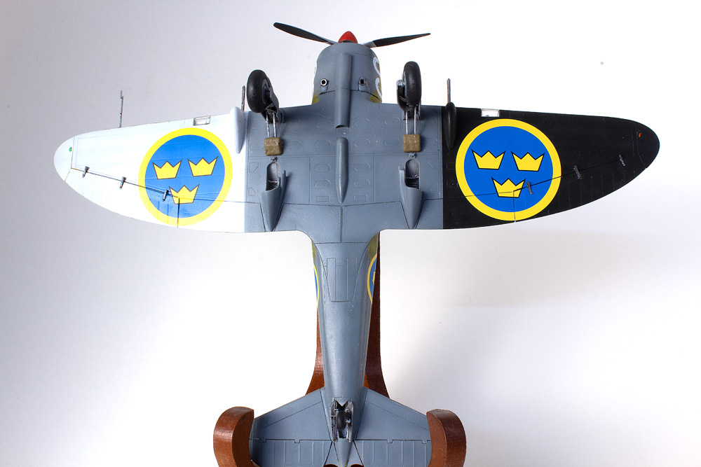 FSDWB1021_Dora_J9_07