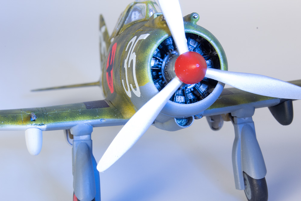FSDWB1021_Dora_J9_10