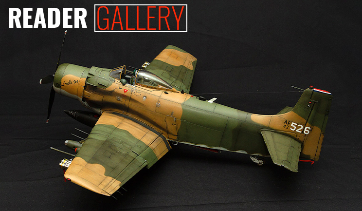Online Scale Model Reader Gallery November 18, 2021