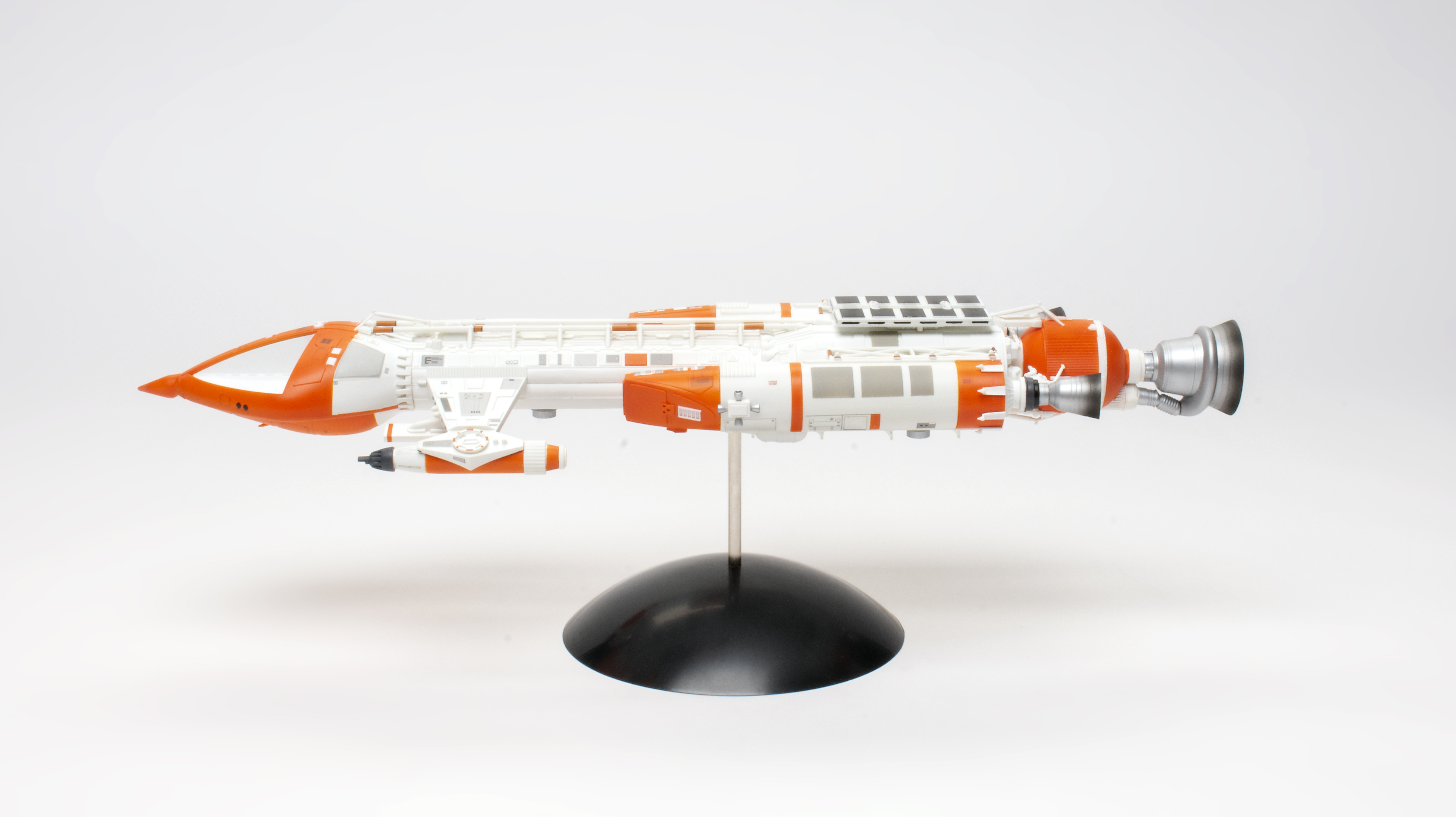 Hawk_06