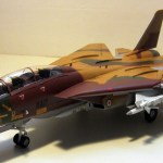 03_IIAFF14ATomcat055
