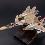 FSDWF0623_44
