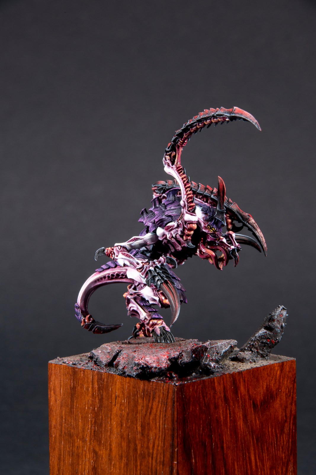 FSDWF0623_54