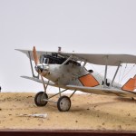 IPMS_22