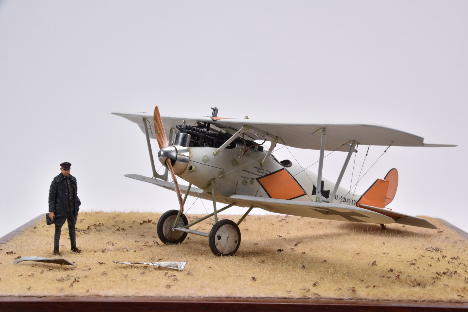 IPMS_22