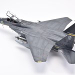 IPMS_55