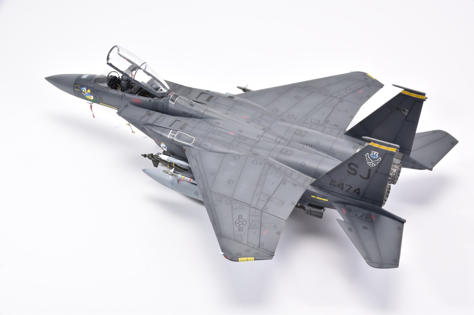 IPMS_55